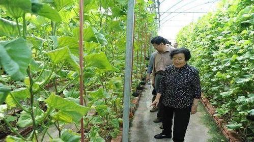 吃瓜娱乐酱顶流社